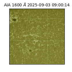 saia - 2025-09-03T09:00:14.126000