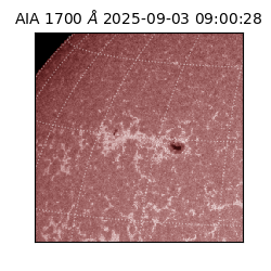 saia - 2025-09-03T09:00:28.718000