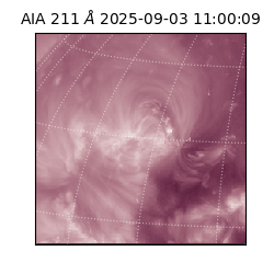 saia - 2025-09-03T11:00:09.626000