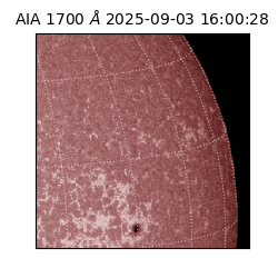 saia - 2025-09-03T16:00:28.718000