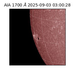 saia - 2025-09-03T03:00:28.721000