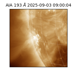 saia - 2025-09-03T09:00:04.846000