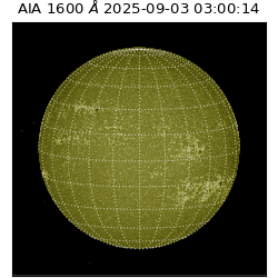 saia - 2025-09-03T03:00:14.126000