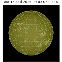 saia - 2025-09-03T06:00:14.126000