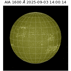 saia - 2025-09-03T14:00:14.126000