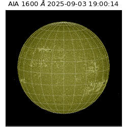 saia - 2025-09-03T19:00:14.126000