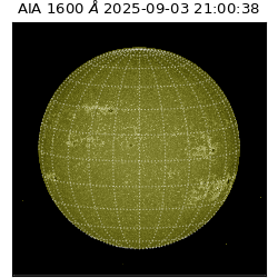 saia - 2025-09-03T21:00:38.131000