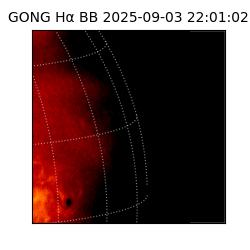 gong - 2025-09-03T22:01:02