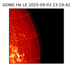 gong - 2025-09-03T23:19:42