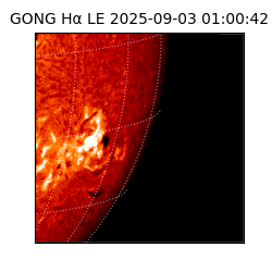 gong - 2025-09-03T01:00:42