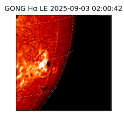 gong - 2025-09-03T02:00:42