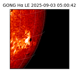 gong - 2025-09-03T05:00:42