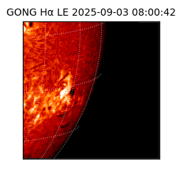 gong - 2025-09-03T08:00:42
