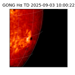 gong - 2025-09-03T10:00:22