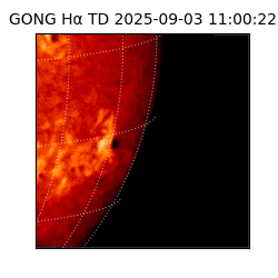 gong - 2025-09-03T11:00:22