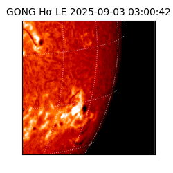 gong - 2025-09-03T03:00:42