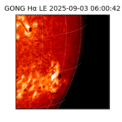 gong - 2025-09-03T06:00:42