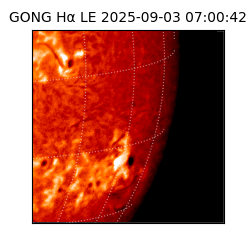 gong - 2025-09-03T07:00:42