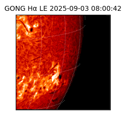 gong - 2025-09-03T08:00:42