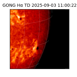 gong - 2025-09-03T11:00:22