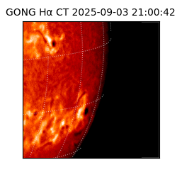 gong - 2025-09-03T21:00:42