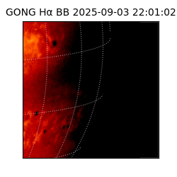 gong - 2025-09-03T22:01:02