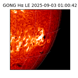 gong - 2025-09-03T01:00:42