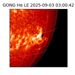 gong - 2025-09-03T03:00:42