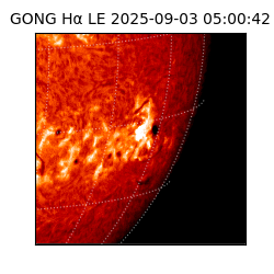 gong - 2025-09-03T05:00:42