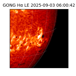 gong - 2025-09-03T06:00:42