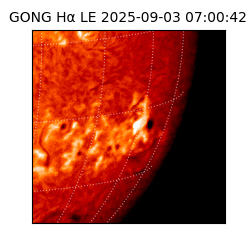 gong - 2025-09-03T07:00:42