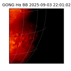gong - 2025-09-03T22:01:02