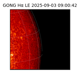 gong - 2025-09-03T09:00:42
