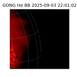 gong - 2025-09-03T22:01:02