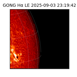 gong - 2025-09-03T23:19:42