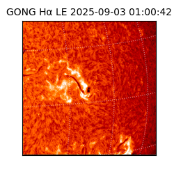 gong - 2025-09-03T01:00:42