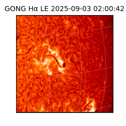 gong - 2025-09-03T02:00:42