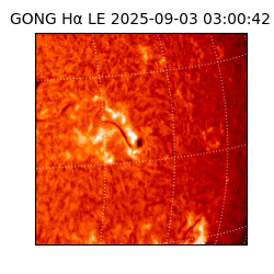 gong - 2025-09-03T03:00:42