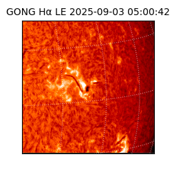 gong - 2025-09-03T05:00:42