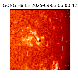 gong - 2025-09-03T06:00:42