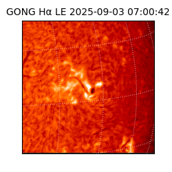 gong - 2025-09-03T07:00:42