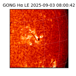 gong - 2025-09-03T08:00:42