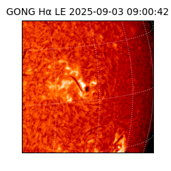 gong - 2025-09-03T09:00:42