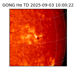 gong - 2025-09-03T10:00:22