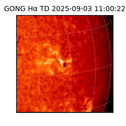 gong - 2025-09-03T11:00:22