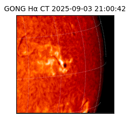 gong - 2025-09-03T21:00:42