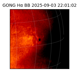 gong - 2025-09-03T22:01:02