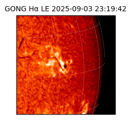 gong - 2025-09-03T23:19:42
