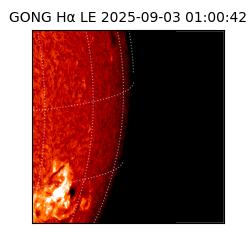 gong - 2025-09-03T01:00:42