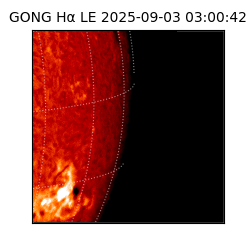 gong - 2025-09-03T03:00:42